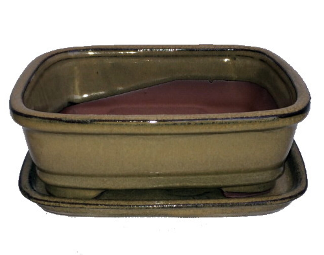 Ceramic Bonsai Pot/Attached Saucer - 8" x 6.25" x 3" + Felt Feet - Mustard